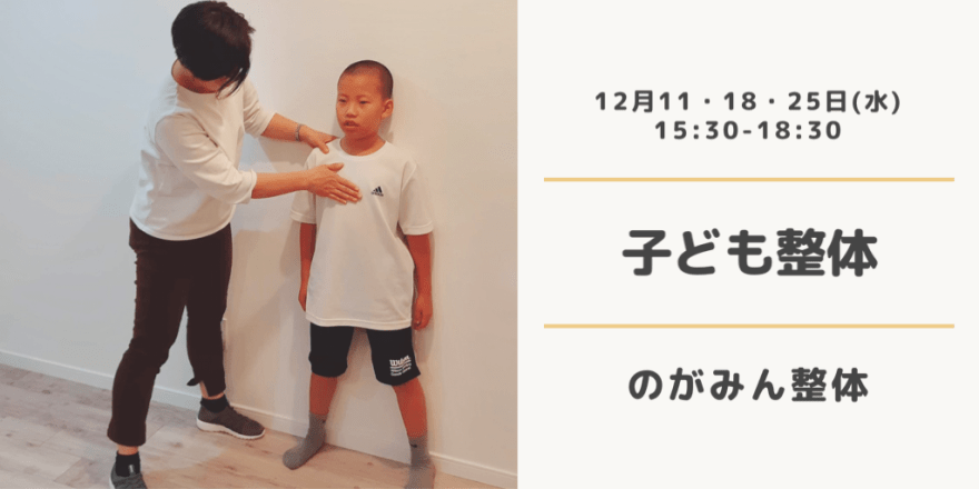 お申し込み：TEL 090-8025-3185　nogaminseitai@gmail.com